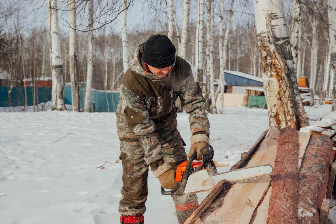 Best Large Tree Removal  in USA